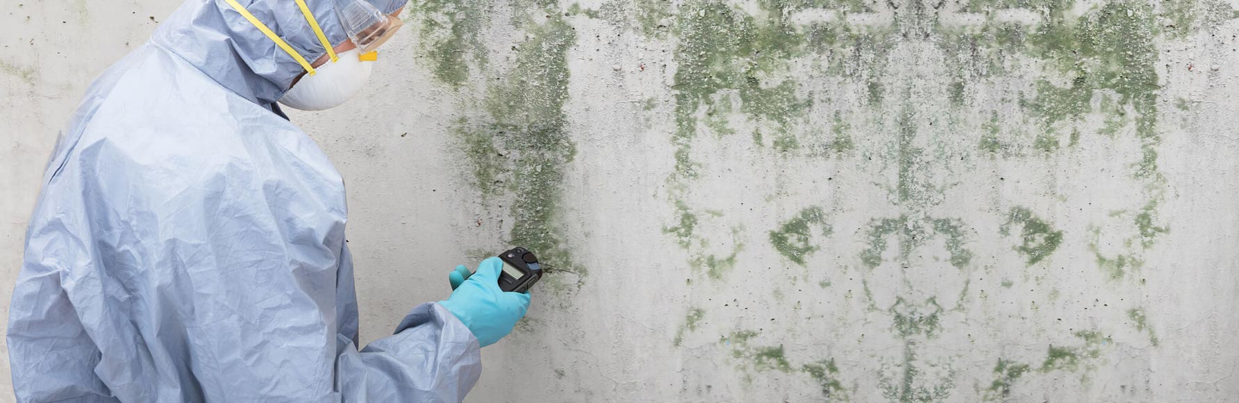 Mold remediation makes your home healthier and safer