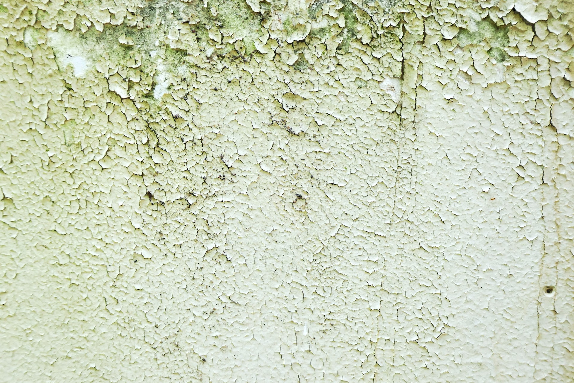 4 Steps to Take When You Suspect Mold