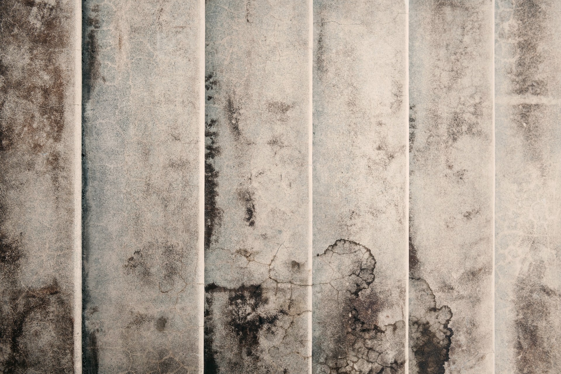 The 4 Most Common Places Mold is Found in Homes
